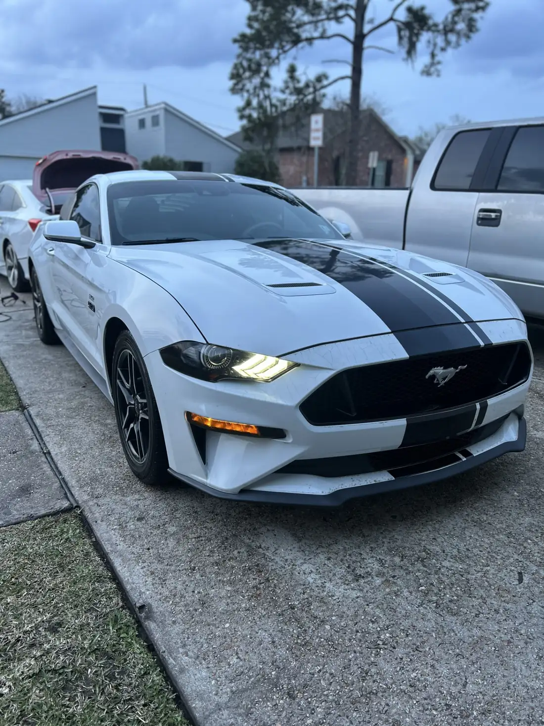 White Ford Mustang GT with racing stripes detailed in a Destrehan, Louisiana driveway