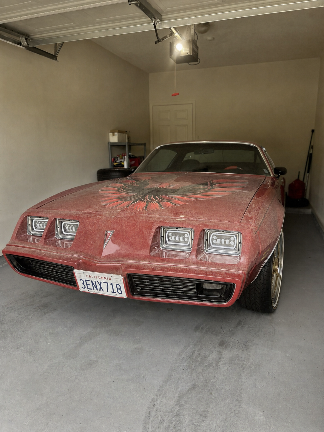 Exterior — Decontamination + Polish before