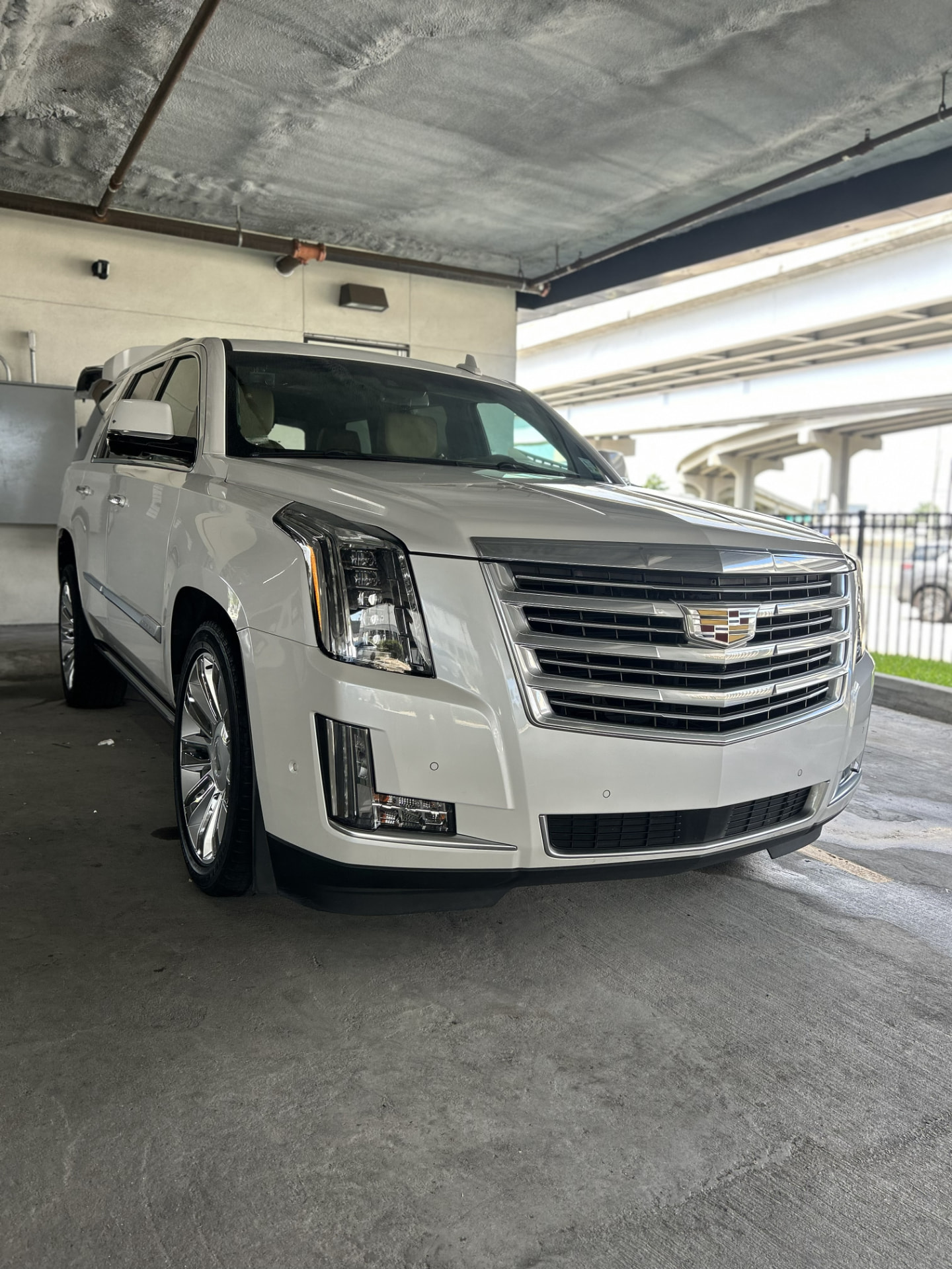 White Cadillac SUV after one-step paint correction showing a glossy, reflective finish in Metairie, Louisiana